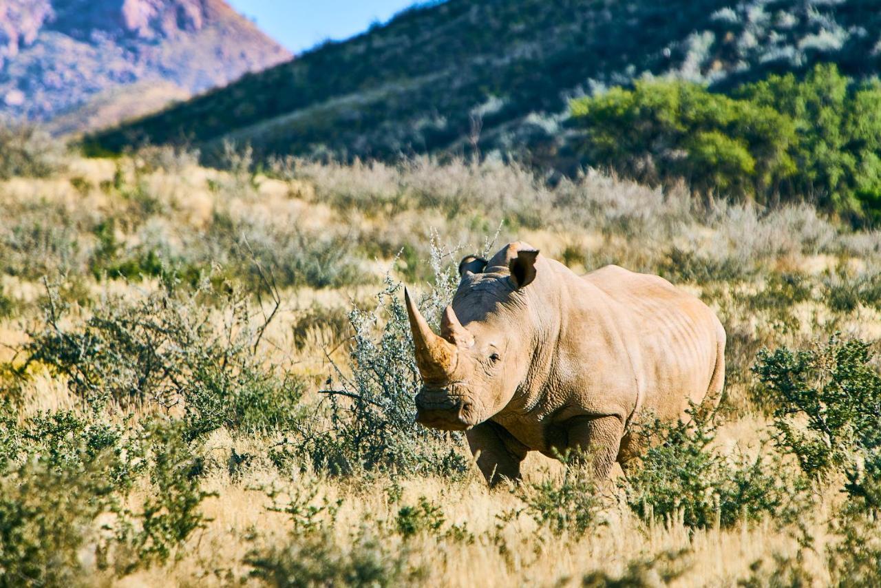 We Kebi Safari Lodge Sesriem Buitenkant foto