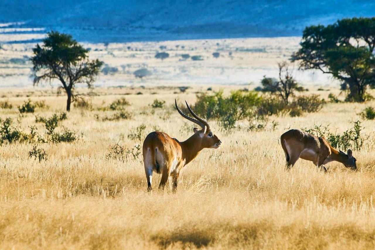 We Kebi Safari Lodge Sesriem Buitenkant foto