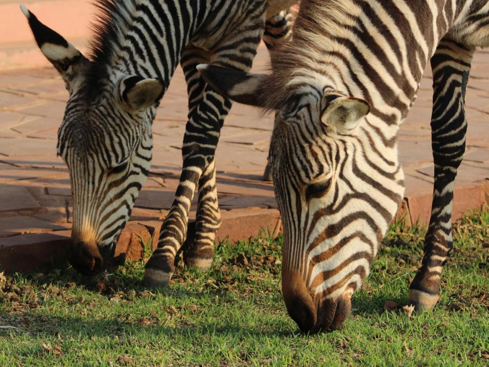 We Kebi Safari Lodge Sesriem Buitenkant foto